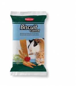 biscuit-carrot