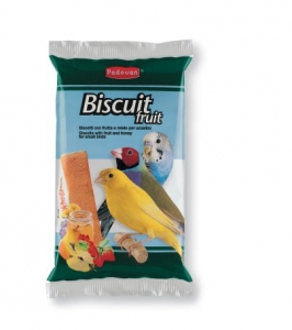 biscuit-fruit