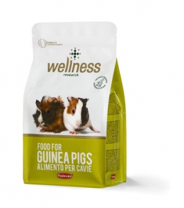 wellness-food-for-guinea-pigs-1kg