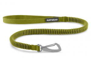 4050_RidgelineLeash_ForestGreen_Zoom