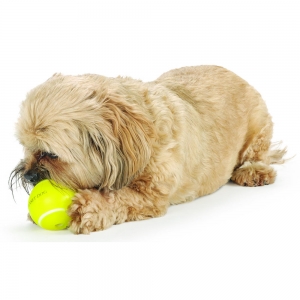 TennisBall_main-2