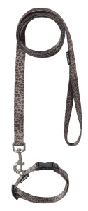 wonder collar leash set 20mm col.191 leopard