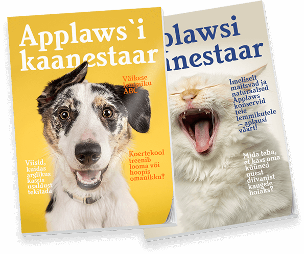 applaws-magazines